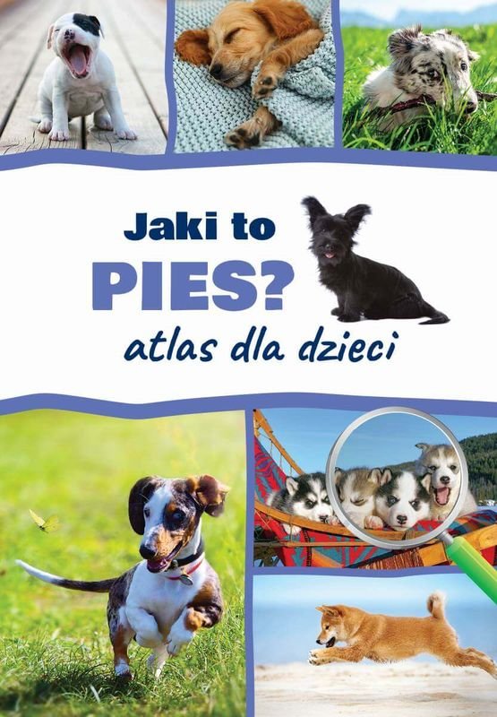 Atlas dla dzieci. Jaki to pies?