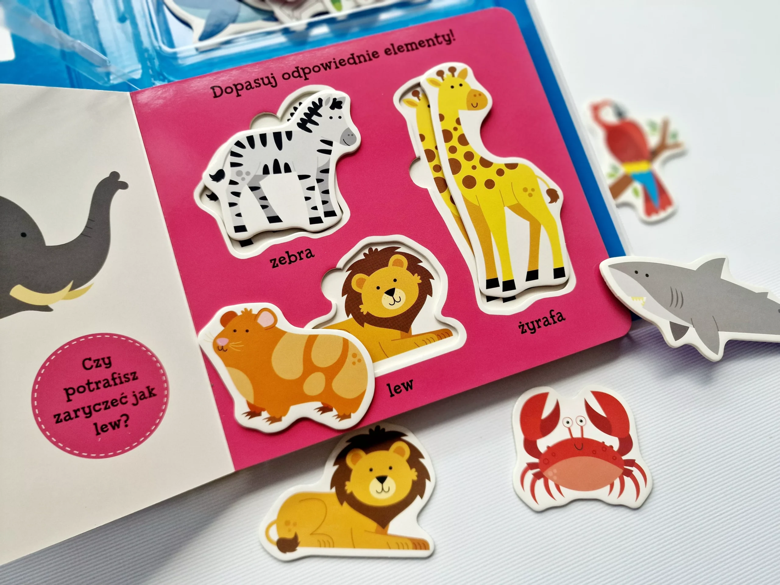 cca44-akademia-madrego-dziec