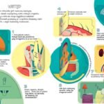 16717197459611393-jpg-gallery.big-iext122841265