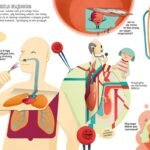 16717197459741394-jpg-gallery.big-iext122841267