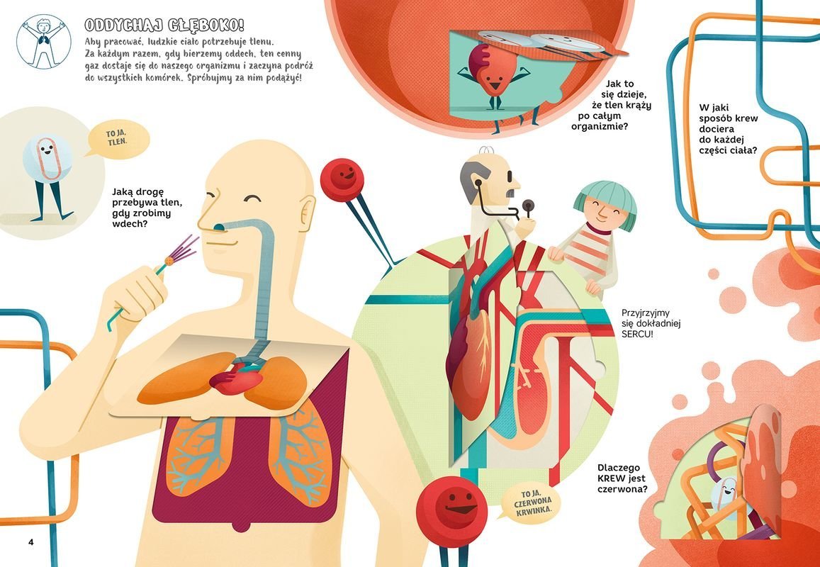 16717197459741394-jpg-gallery.big-iext122841267