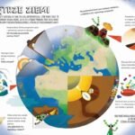 16717197898981395-jpg-gallery.big-iext122841483