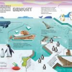 16717197899091396-jpg-gallery.big-iext122841484