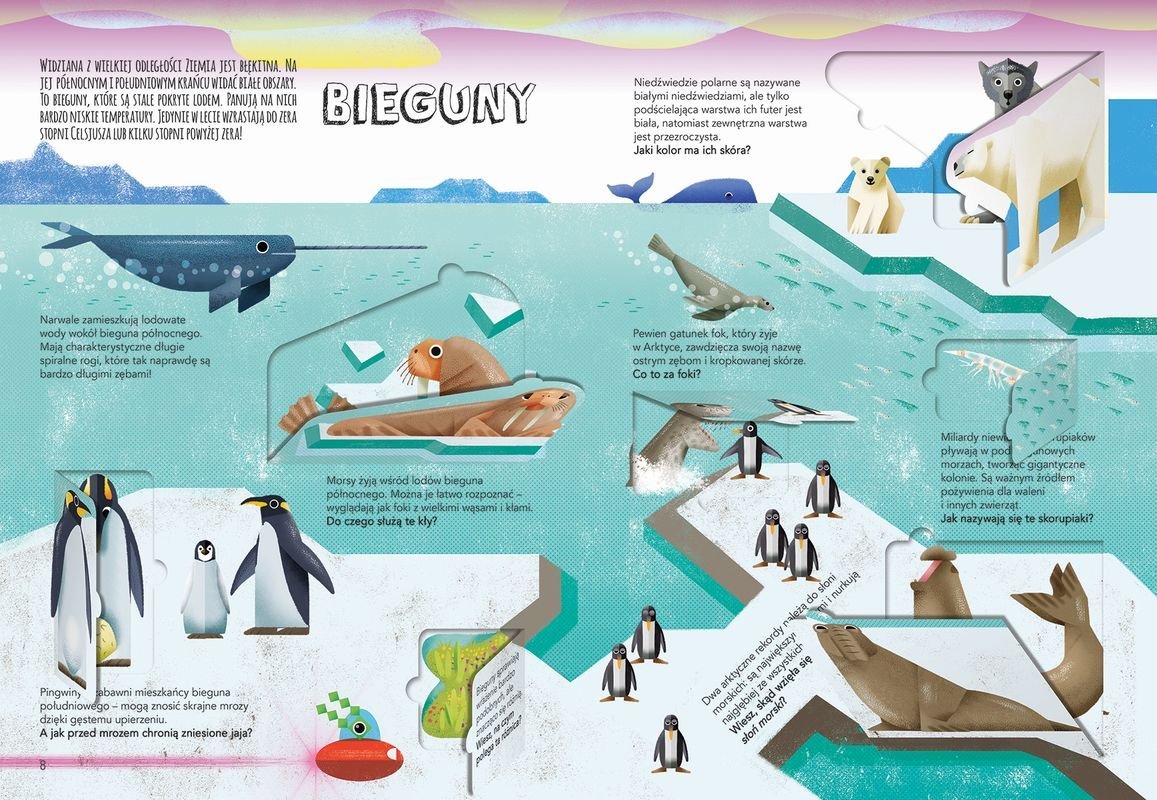 16717197899091396-jpg-gallery.big-iext122841484