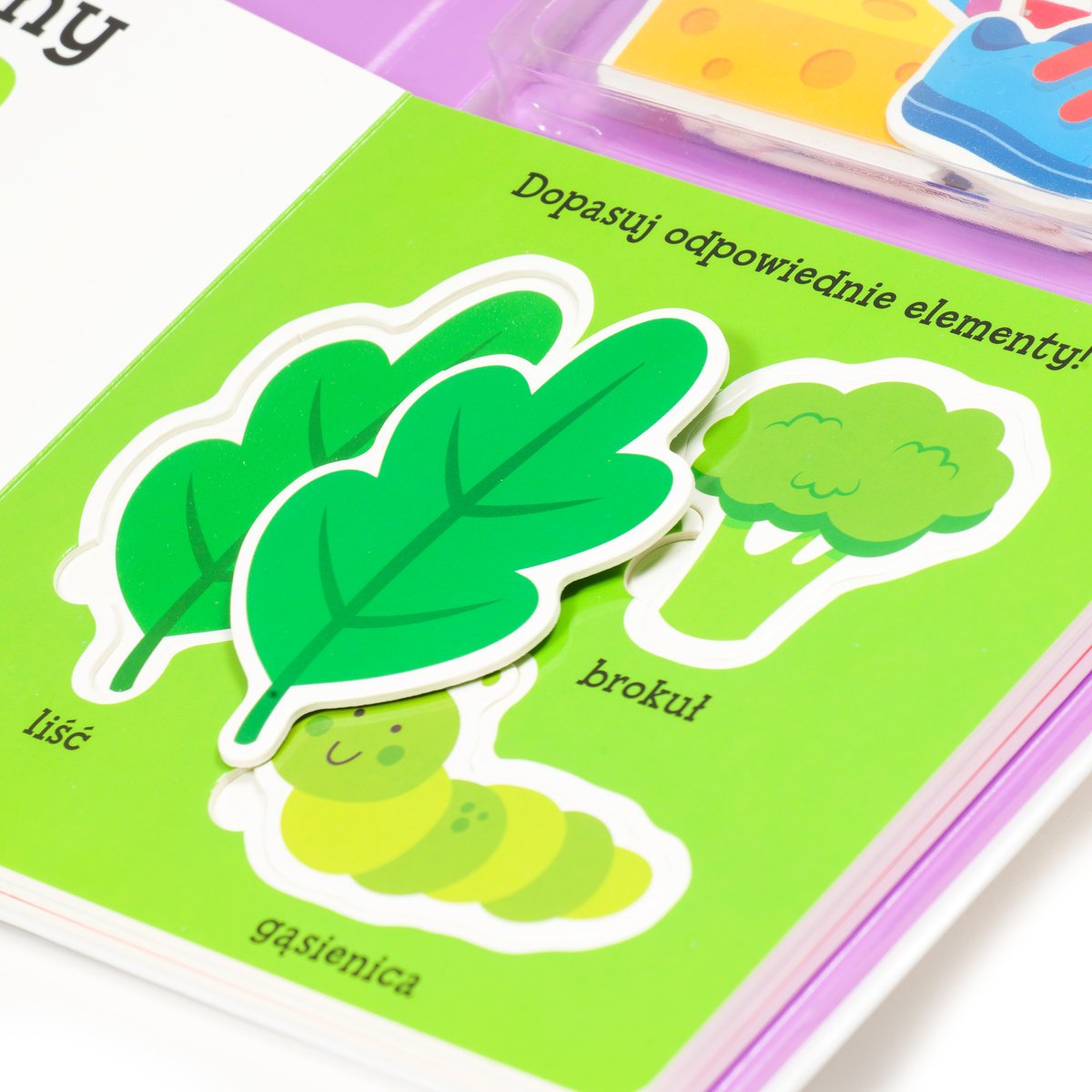 16425073363843643-jpg-gallery.big-iext104860388