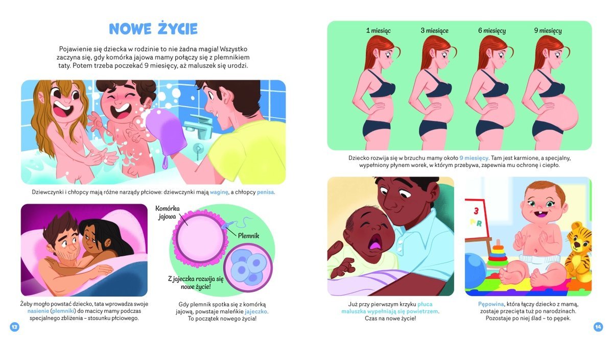 dc510e312b3e4cb88410a8c171040203-jpg-gallery.big-iext213402405