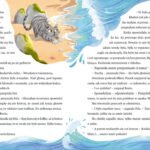 3d3733ac03d84ca4969678cfaba2a993-jpg-gallery.big-iext228843008