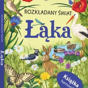 Rozkladany świat.  Ksiazka harmonijka. Łąka