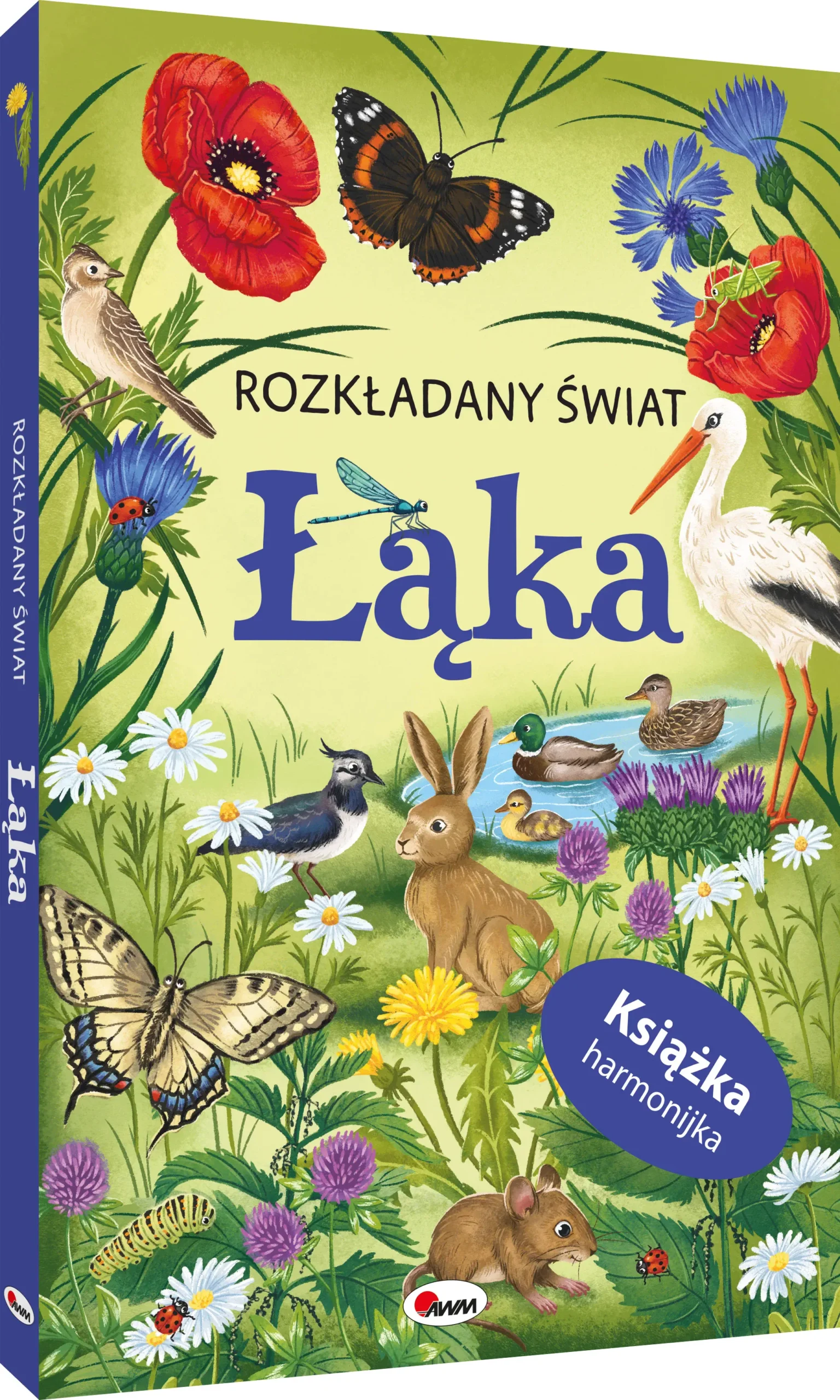 6e404fc-rozkladany-swiat-lak