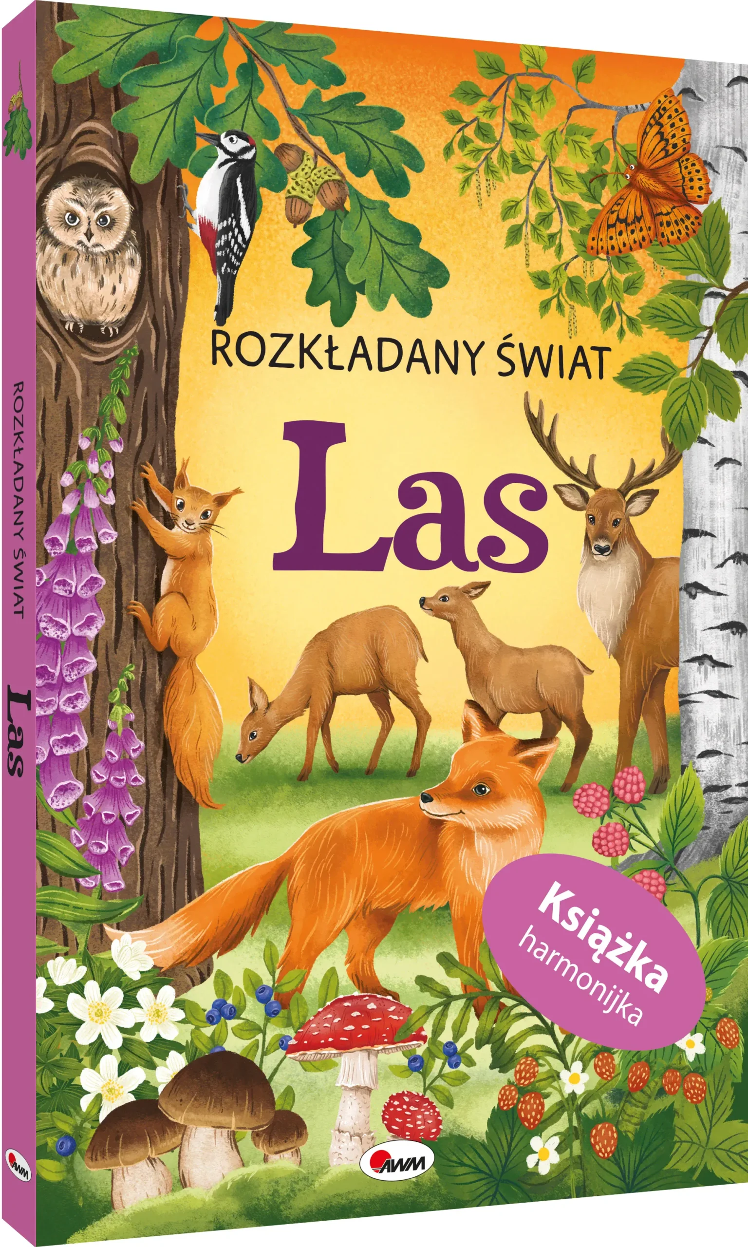 a450295-rozkladany-swiat-las