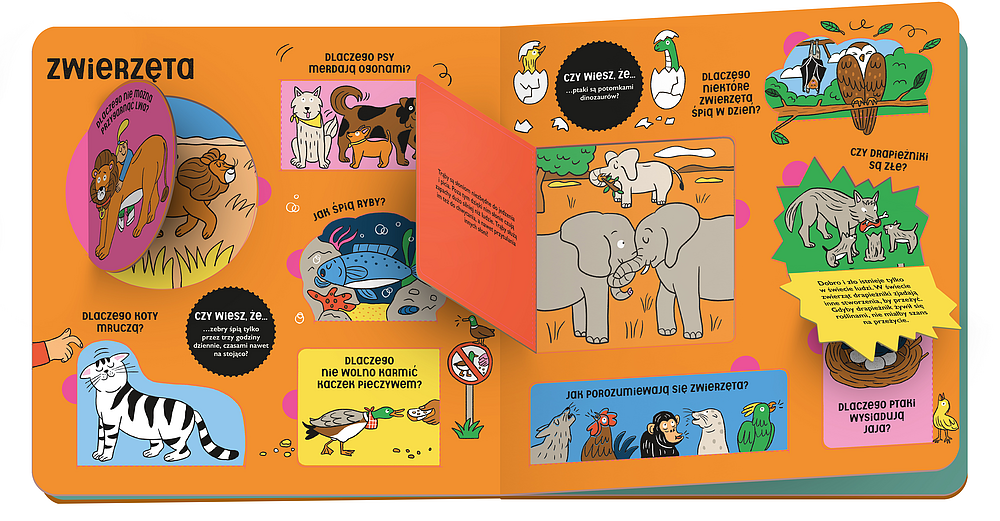 8e697b5cf91d4a119dae83afb75a9de6